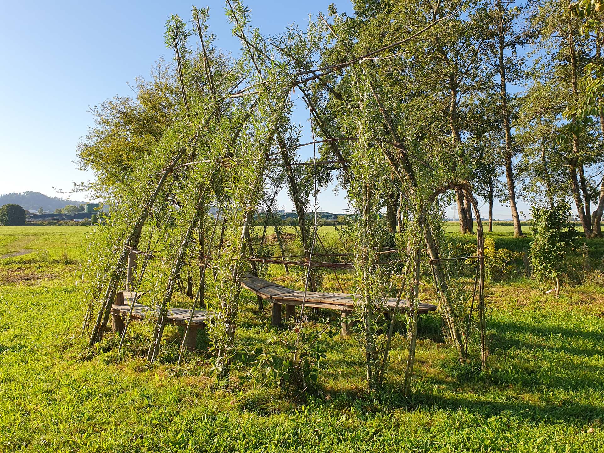 Begrünte Bänke in Wolfertschwenden